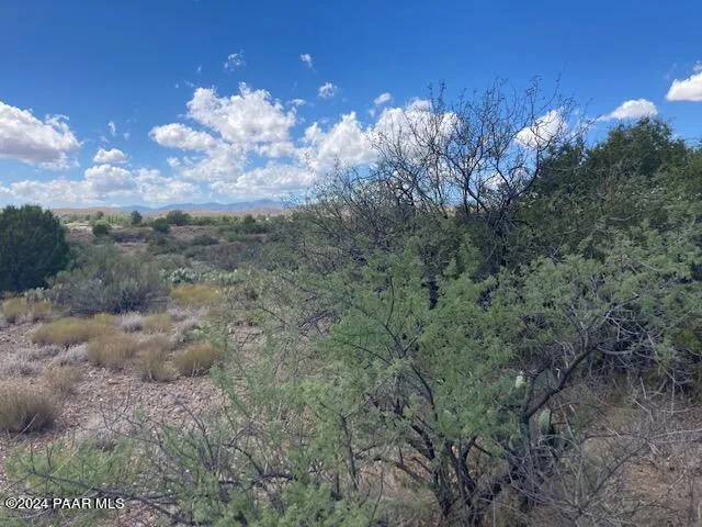 a view of a yard with an tree