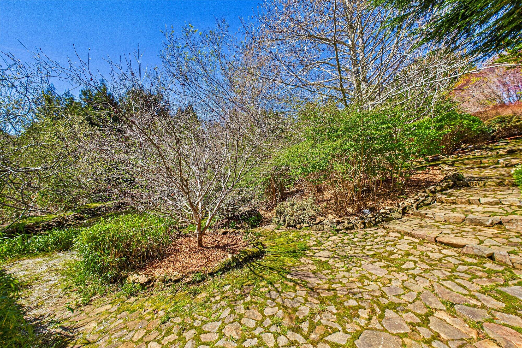174 Fox Farm Road Trinidad, CA 95570 - Photo 143 of 200 Gallery Image 143