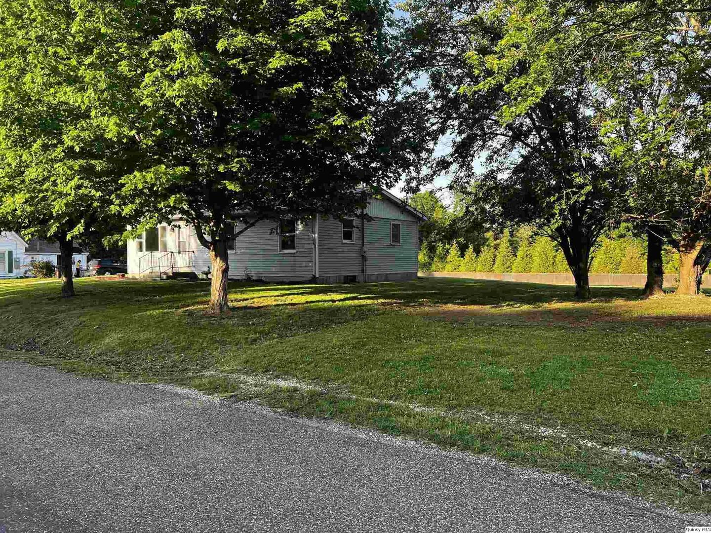 219 South 1st Street Carthage, IL 62321 - Photo 28 of 28 a view of a fountain in front of a house