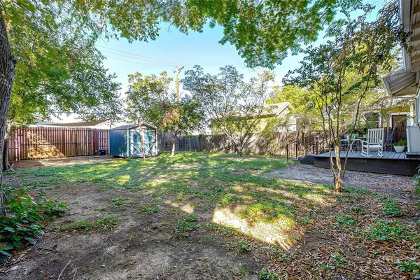a view of a yard with a tree