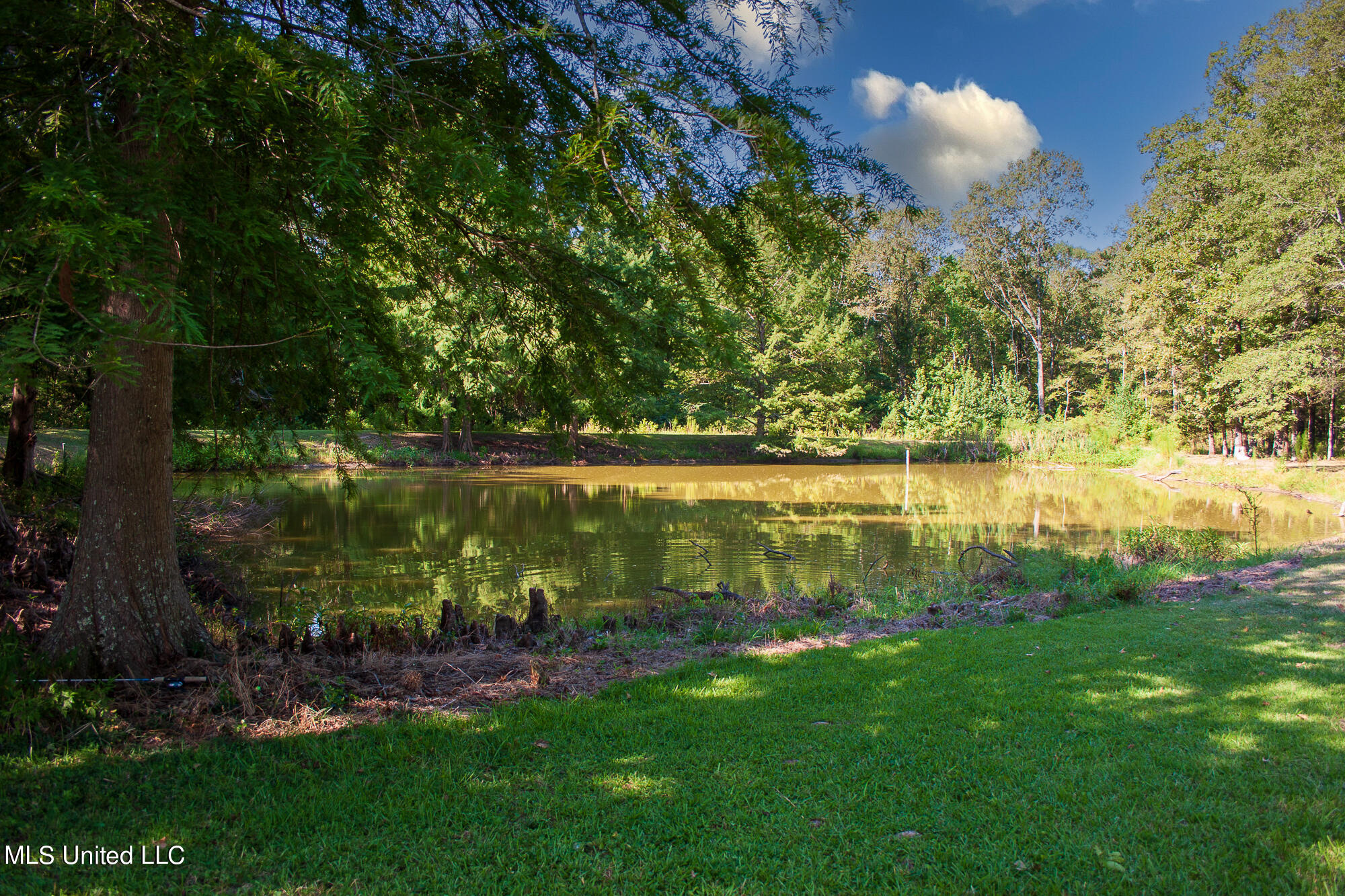 1591 Owens Road Terry, MS 39170 - Photo 3 of 23 IMG_8607-Edit