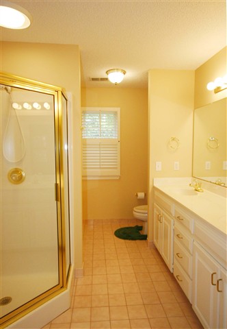 311 Spring Lake Loop Simpsonville, SC 29681 - Photo 7 of 12 Gallery Image 7