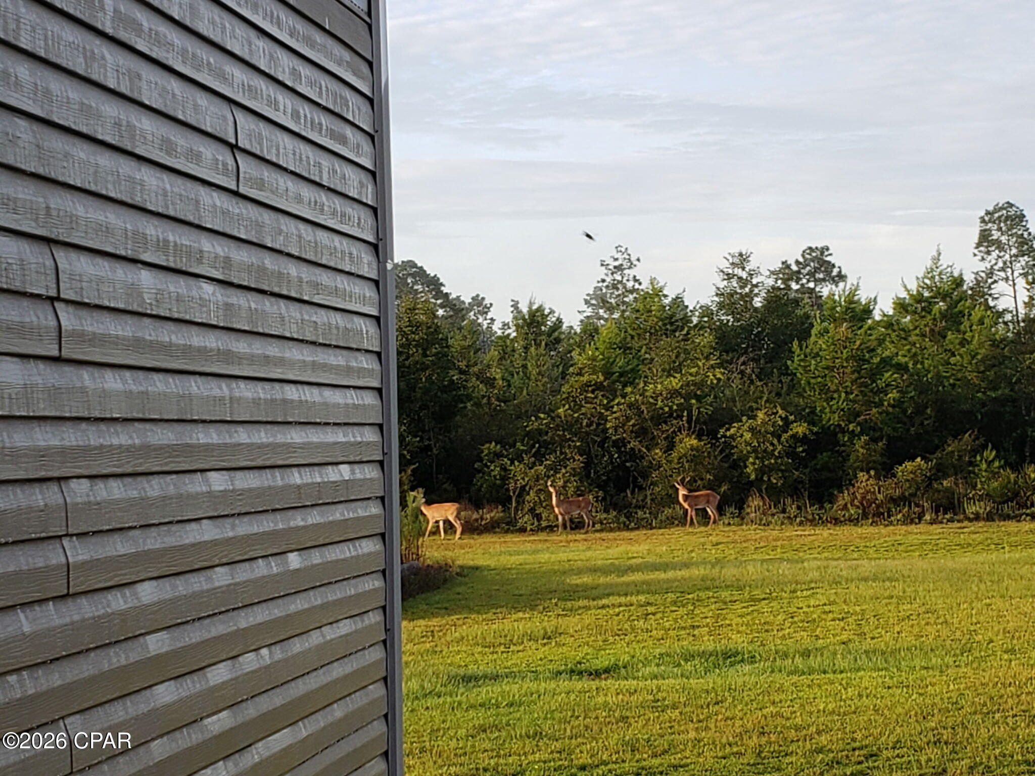 22985 Lamont Road Fountain, FL 32438 - Photo 7 of 13