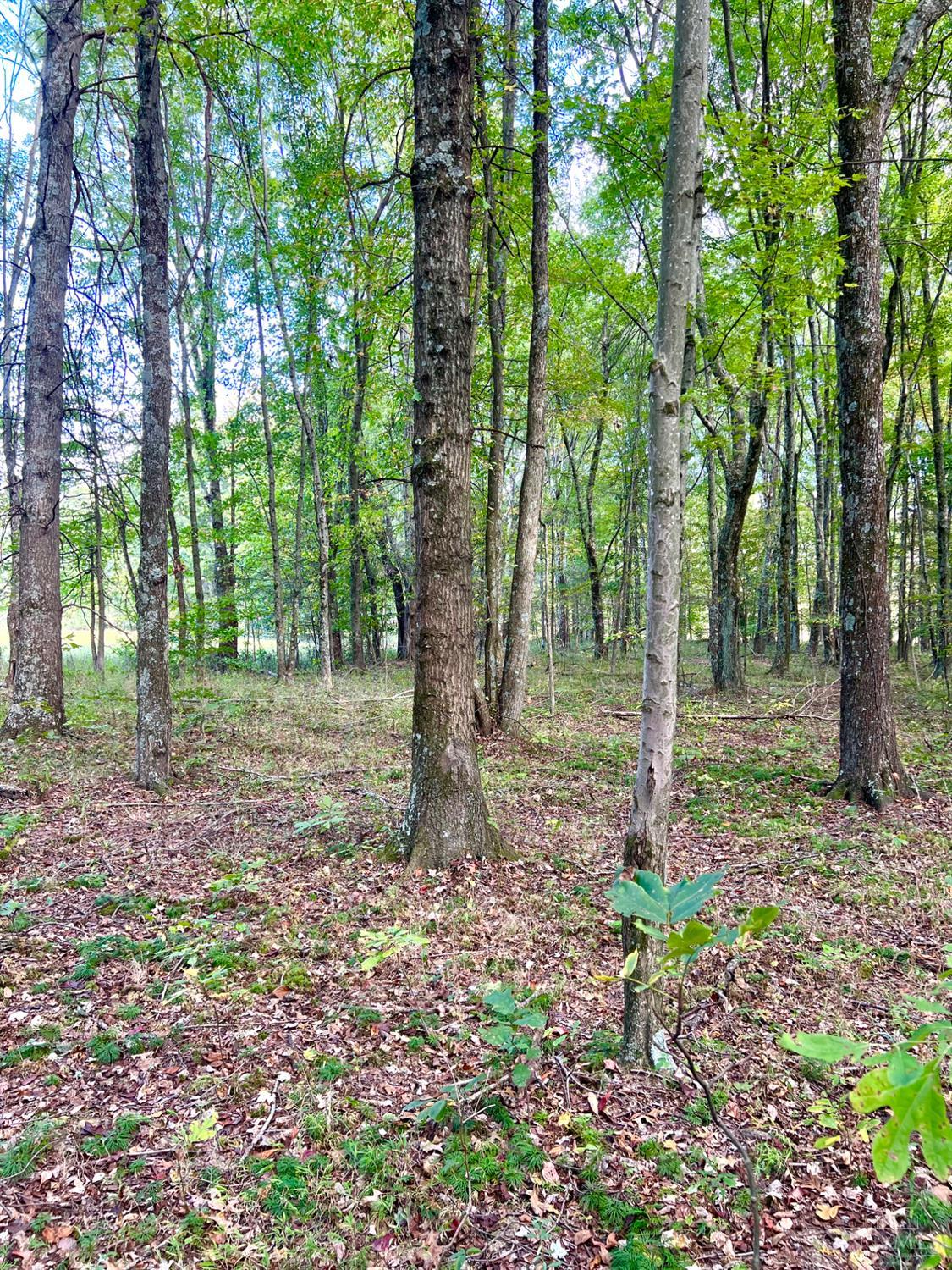 0 Pool Kuntz Road Sardinia, OH 45171 - Photo 33 of 50 Gallery Image 33