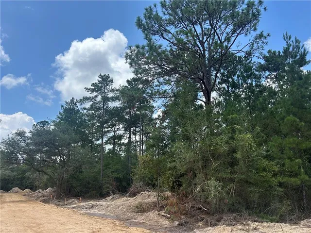 $340,000 | 0 Pellegrin Drive, Covington, LA 70435