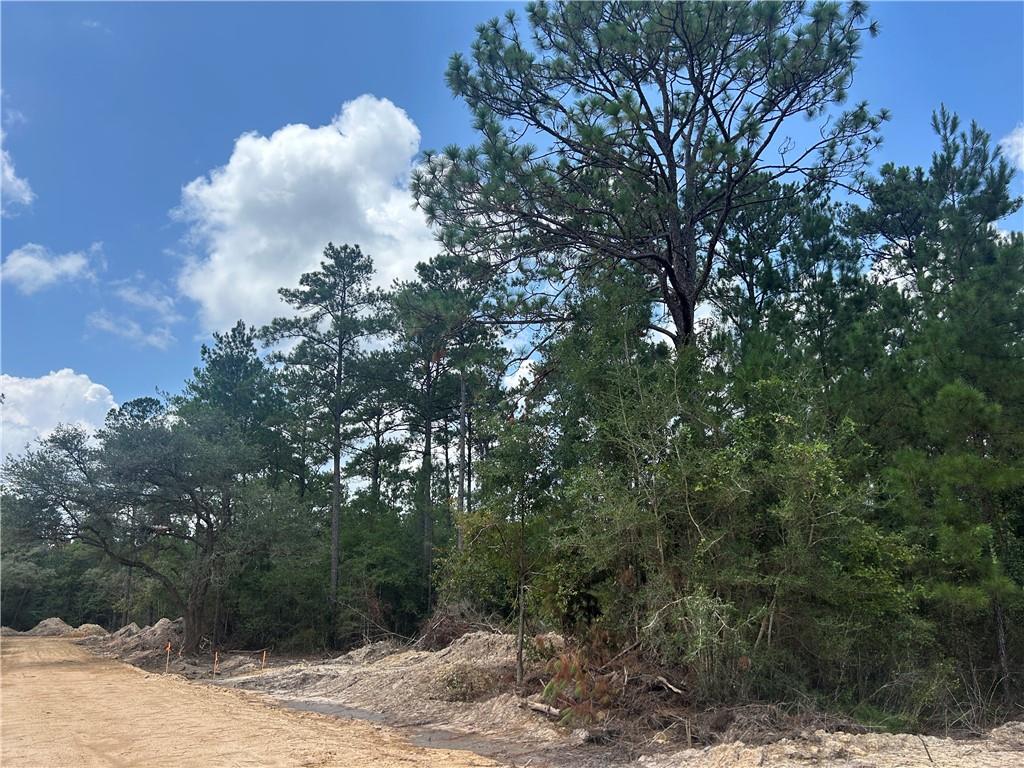 0 Pellegrin Drive Covington, LA 70435 - Photo 3 of 5