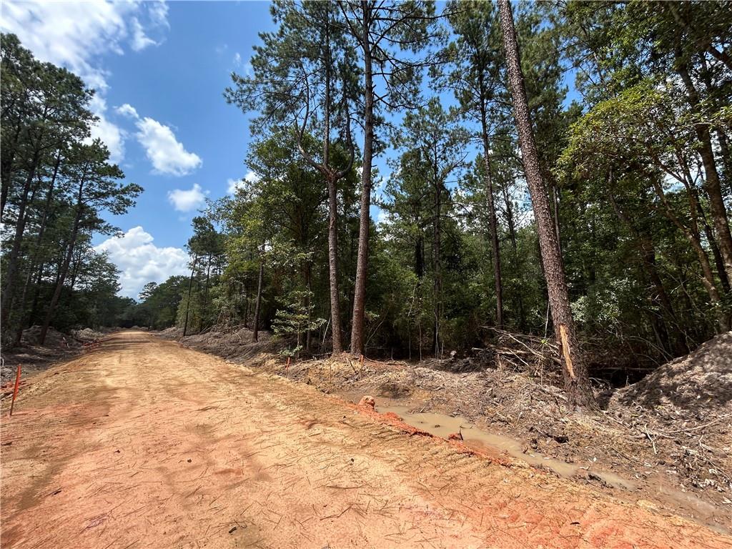 0 Pellegrin Drive Covington, LA 70435 - Photo 4 of 5