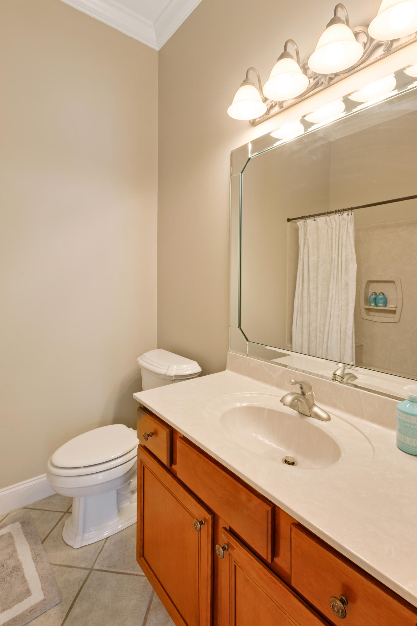 1498 Sky Ranch Lane Baker, FL 32531 - Photo 44 of 86 a bathroom with a sink a toilet and mirror