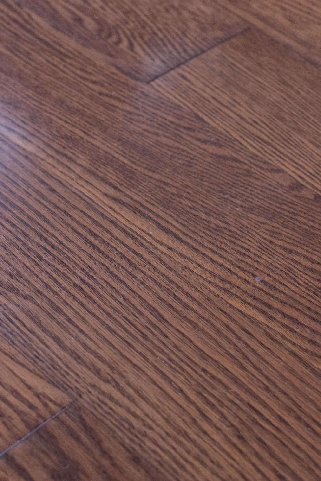 1498 Sky Ranch Lane Baker, FL 32531 - Photo 52 of 86