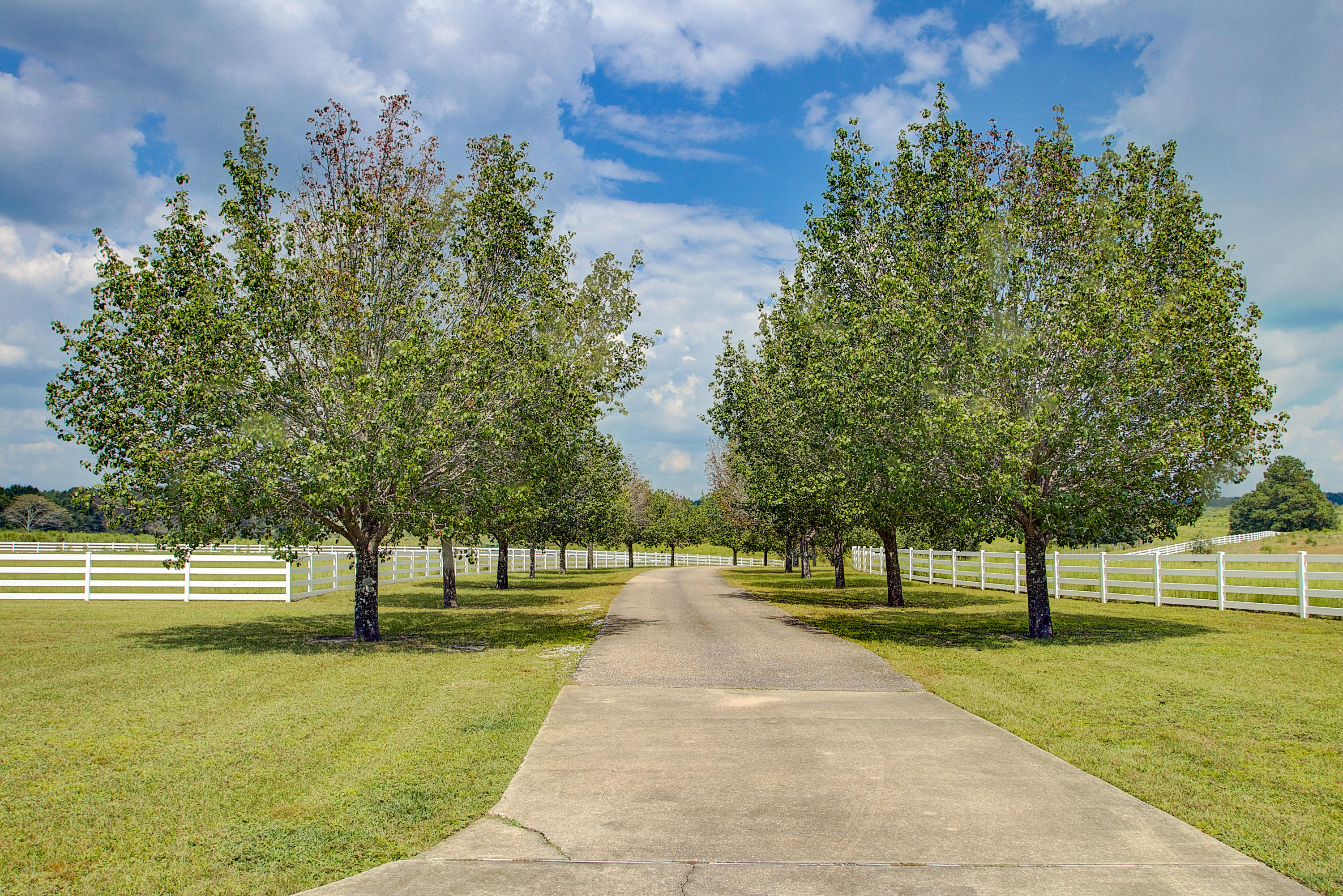 1498 Sky Ranch Lane Baker, FL 32531 - Photo 78 of 86