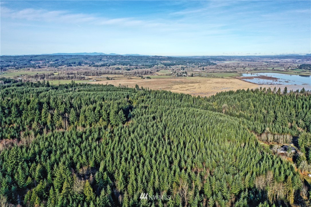 309-07 Cousins Road Chehalis, WA 98532 - Photo 7 of 15 a view of a city