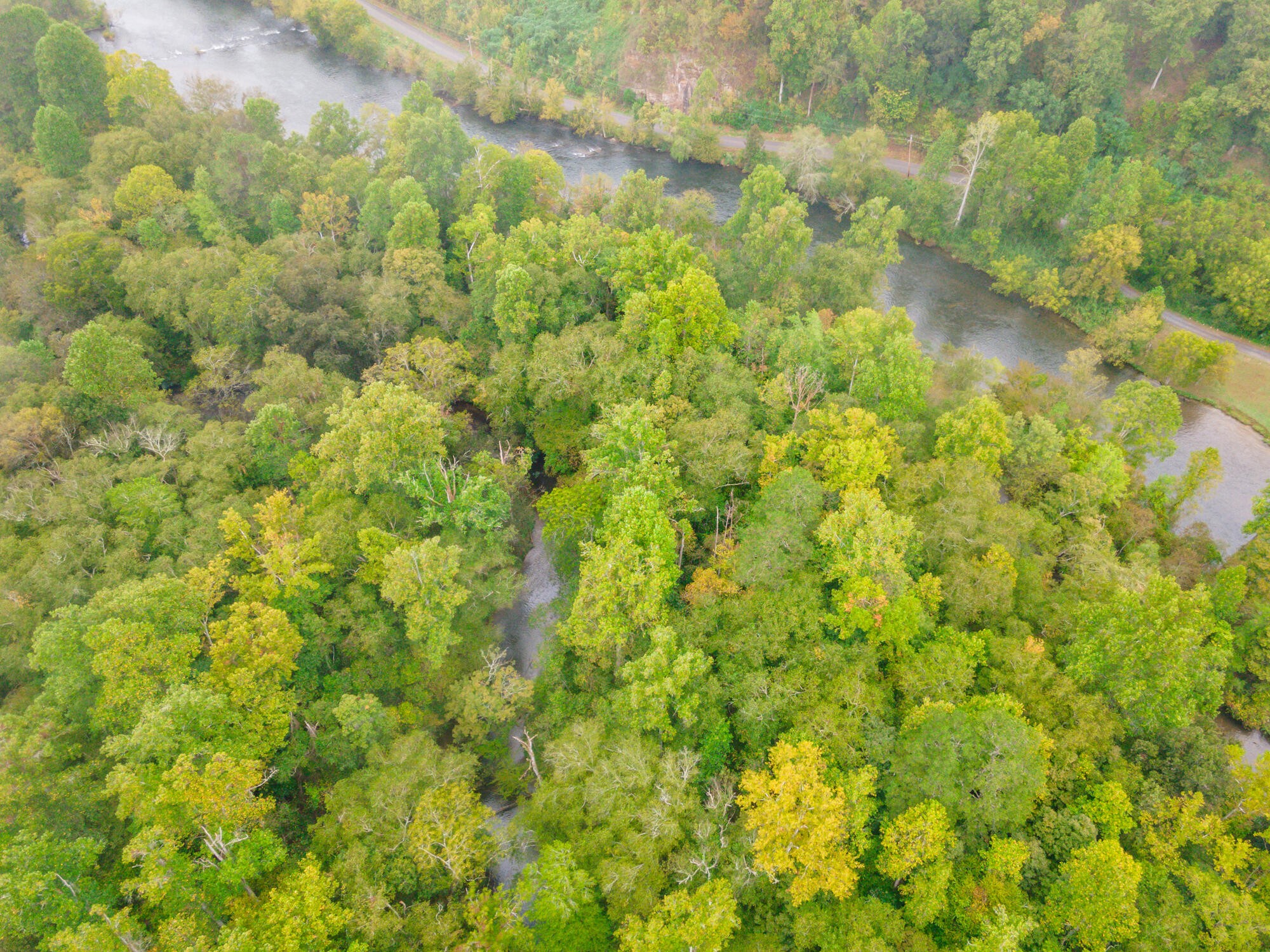 0 Ellis Creek Road Reliance, TN 37369 - Photo 36 of 52 Gallery Image 36