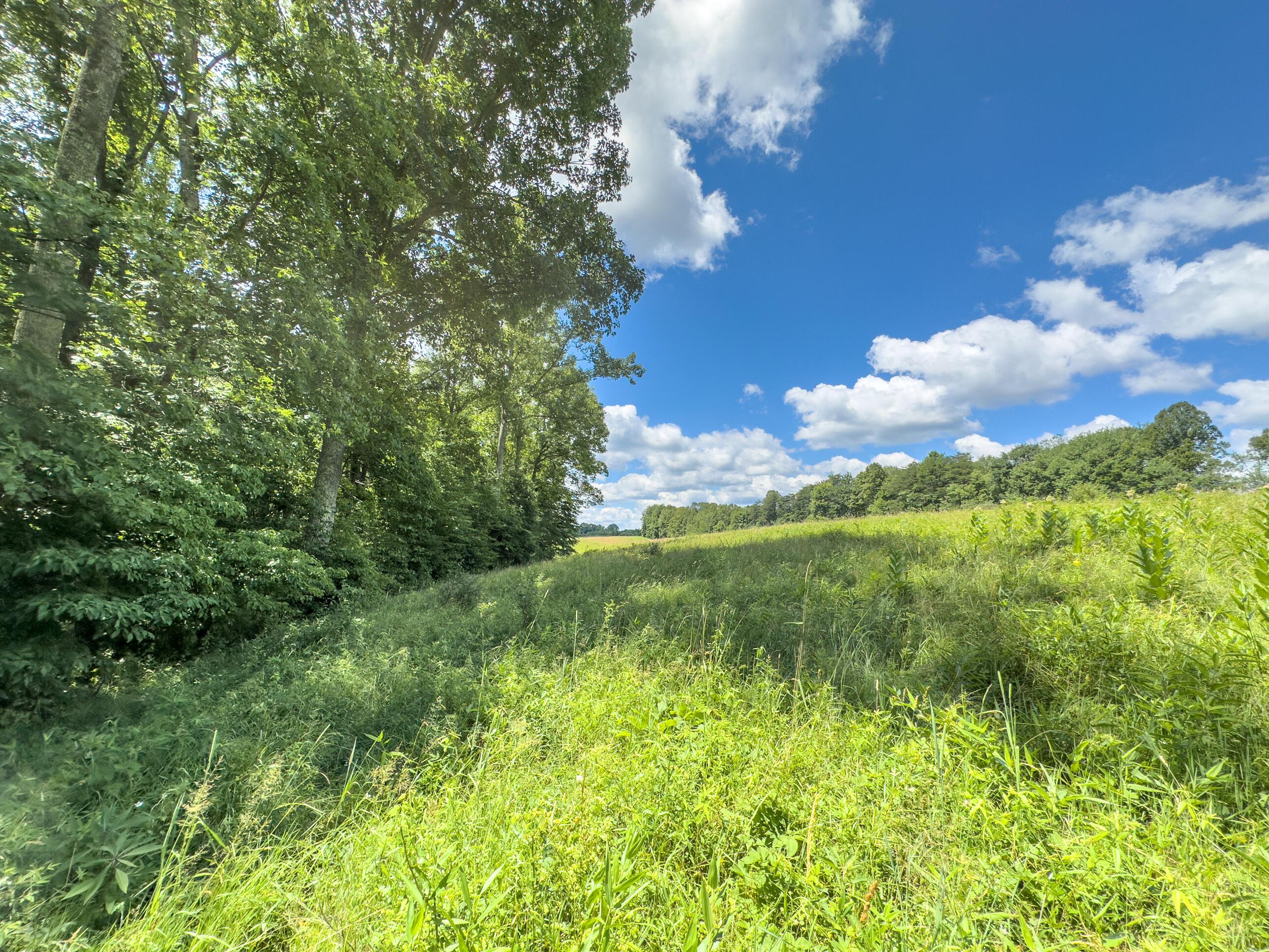 0 Kalklosch Road Logan, OH 43138 - Photo 11 of 20 Kalklosch Rd; 81 ac-3-10