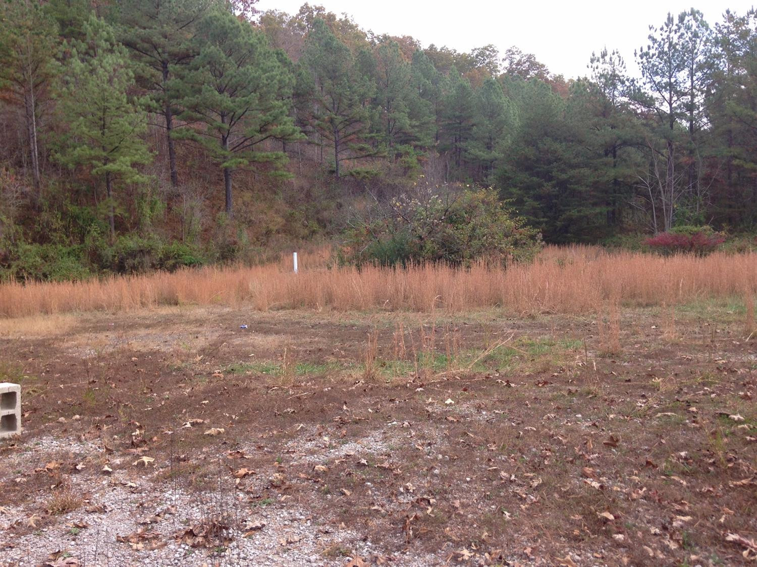 68 Big Hill Road Manchester, KY 40962 - Photo 8 of 16 Photo 8