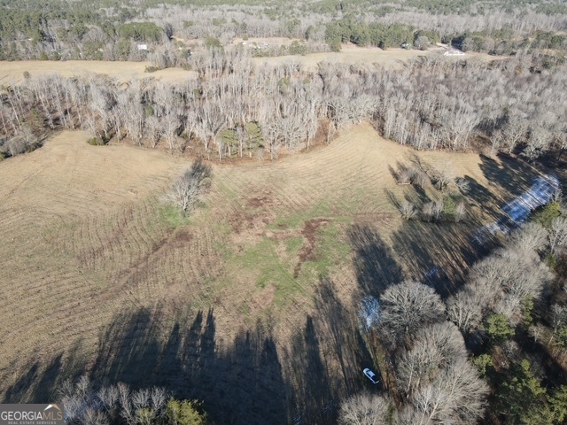 Lot 3 Kendrick Zebulon, GA 30295 - Photo 4 of 8 a view of lot of trees