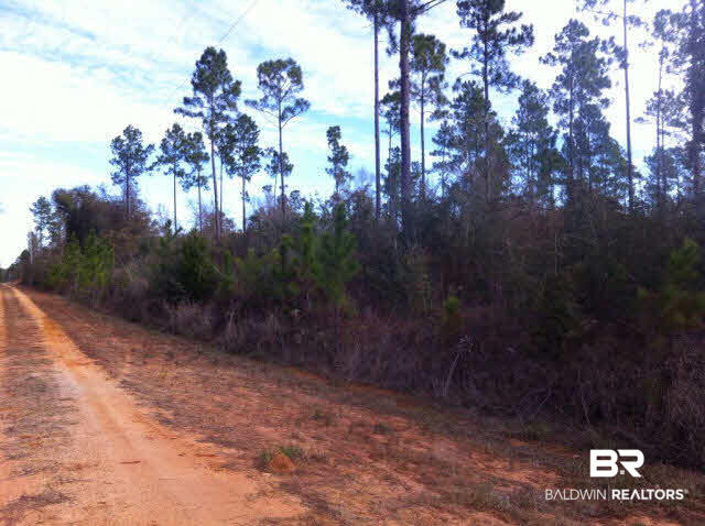 4 Red Cloud Road Baker, FL 32531 - Photo 3 of 15