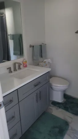 a bathroom with a sink toilet and mirror