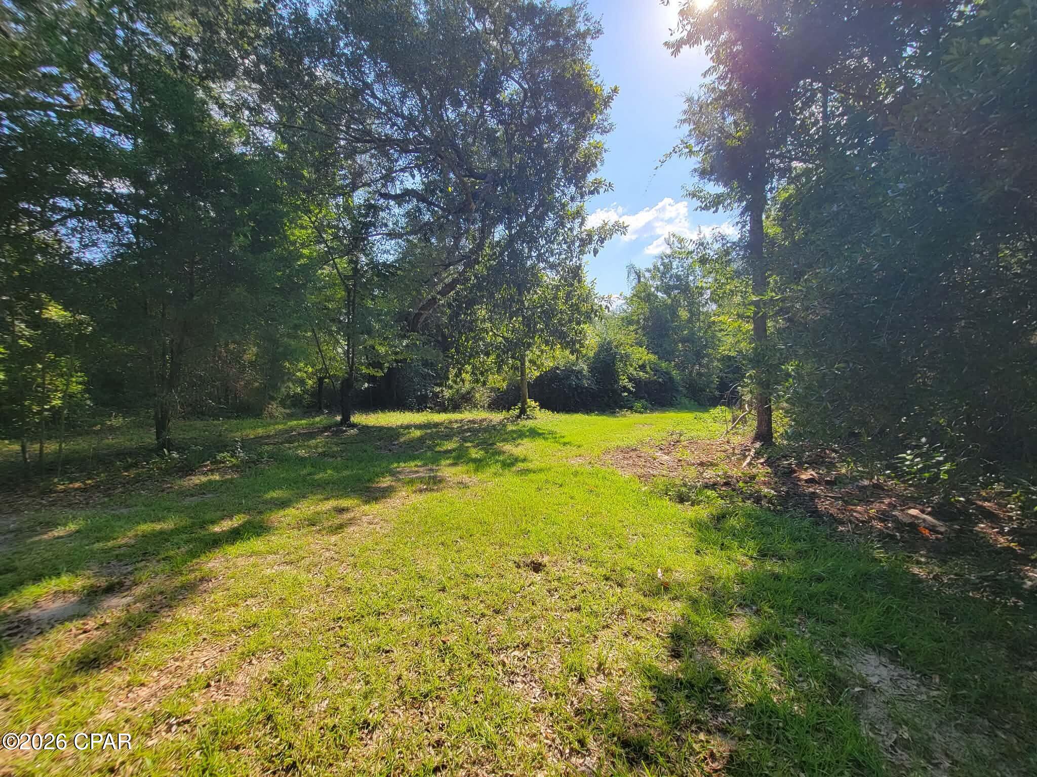 0 Ditty Road Bascom, FL 32423 - Photo 27 of 34
