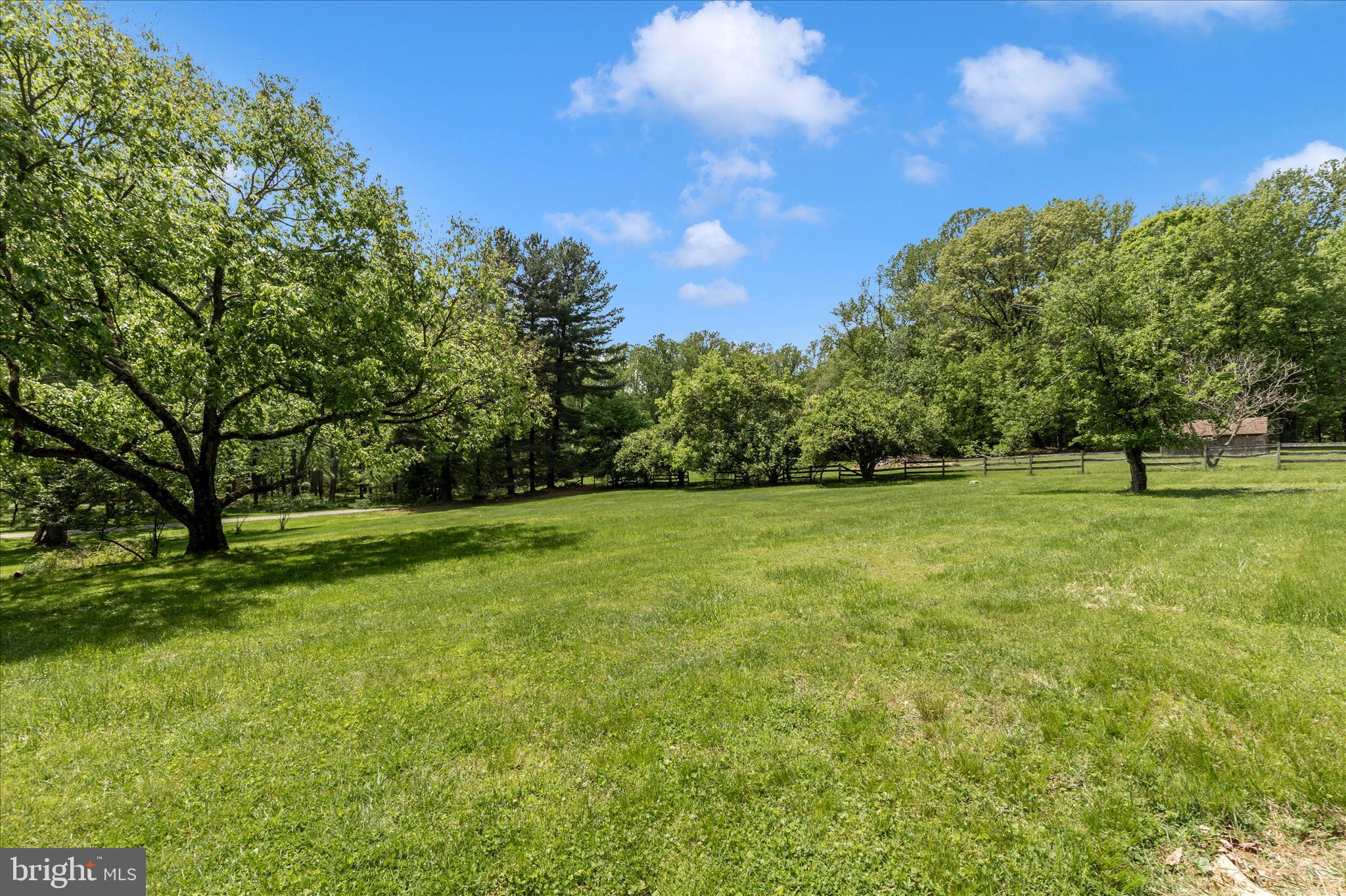 3020 Chestnut Grove Road Keedysville, MD 21756 - Photo 45 of 46 Mature foliage