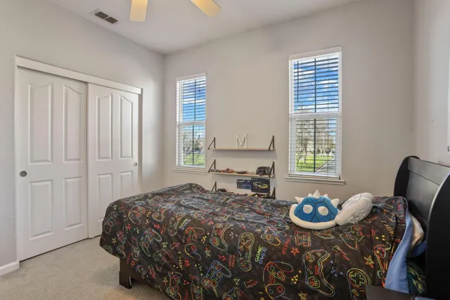 a view of a backyard with palm trees