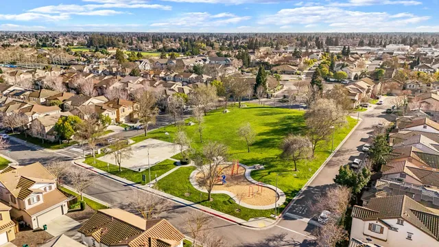a view of a park with large trees