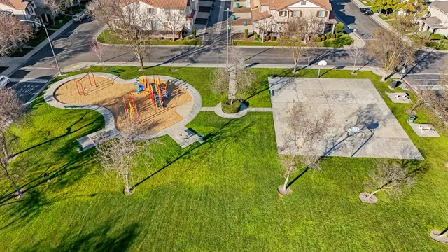 a view of a park with large trees