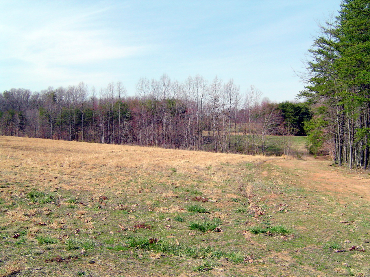 2275 Cotton Patch Road Gretna, VA 24557 - Photo 7 of 24 a view of swimming pool with a yard