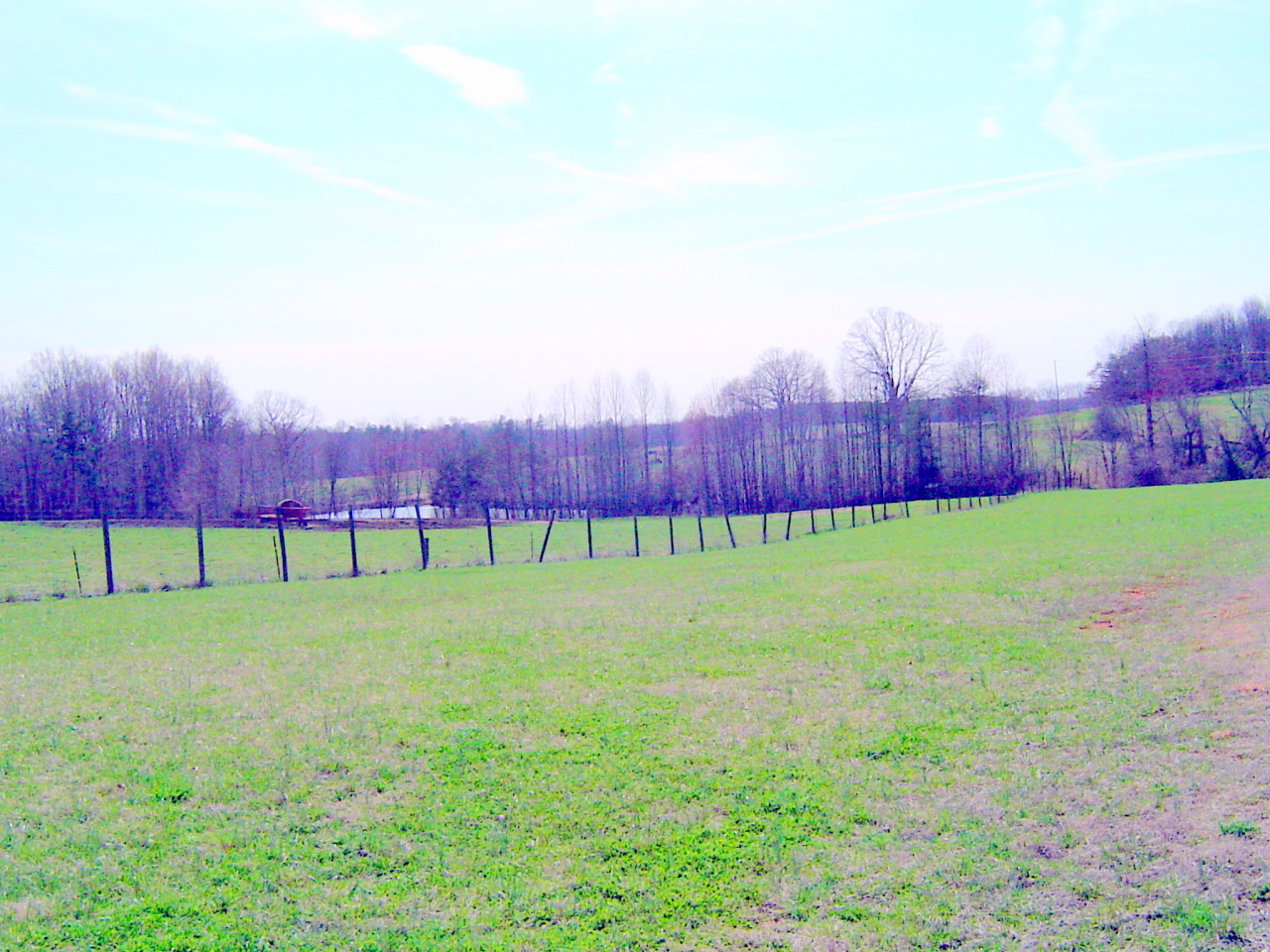 2275 Cotton Patch Road Gretna, VA 24557 - Photo 9 of 24 a view of a golf course with a park