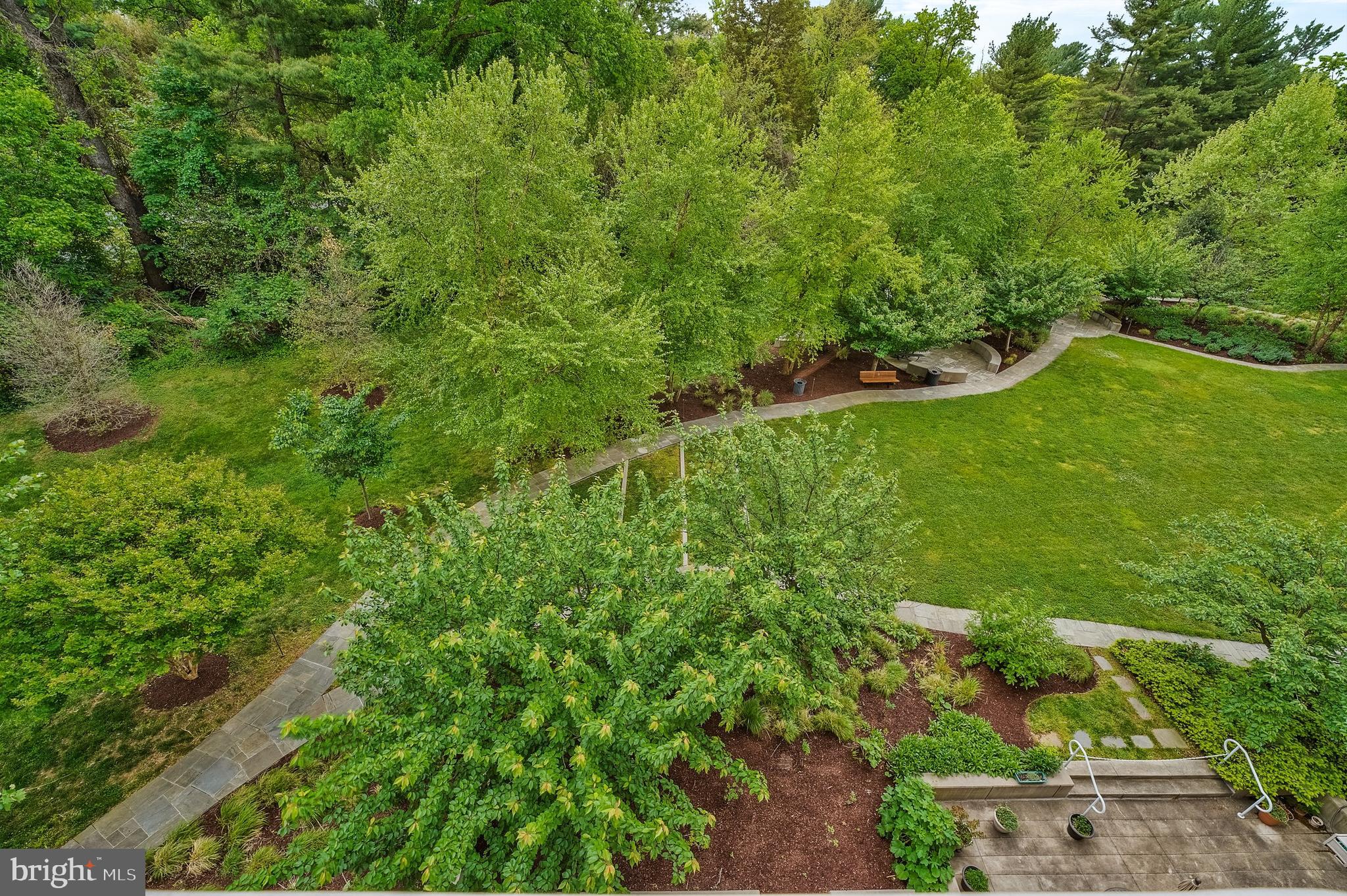 5101 River Road, Unit 618 Bethesda, MD 20816 - Photo 45 of 46 a view of a large garden with plants and large trees