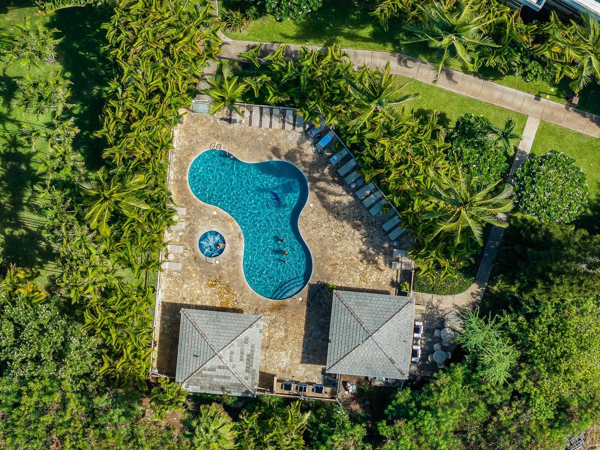 2575 South Kihei Road, Unit H210 Kihei, HI 96753 - Photo 23 of 30