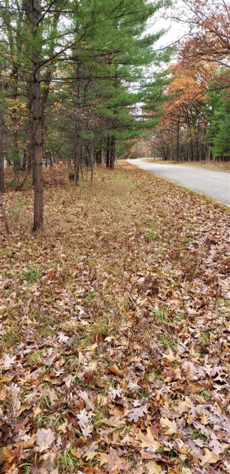 5 5 Mile Road Free Soil, MI 49411 - Photo 2 of 5