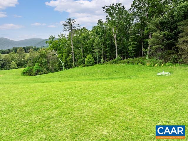 2650 Boonesville Road Dyke, VA 22935 - Photo 8 of 11 a view of a field with a tree in the background