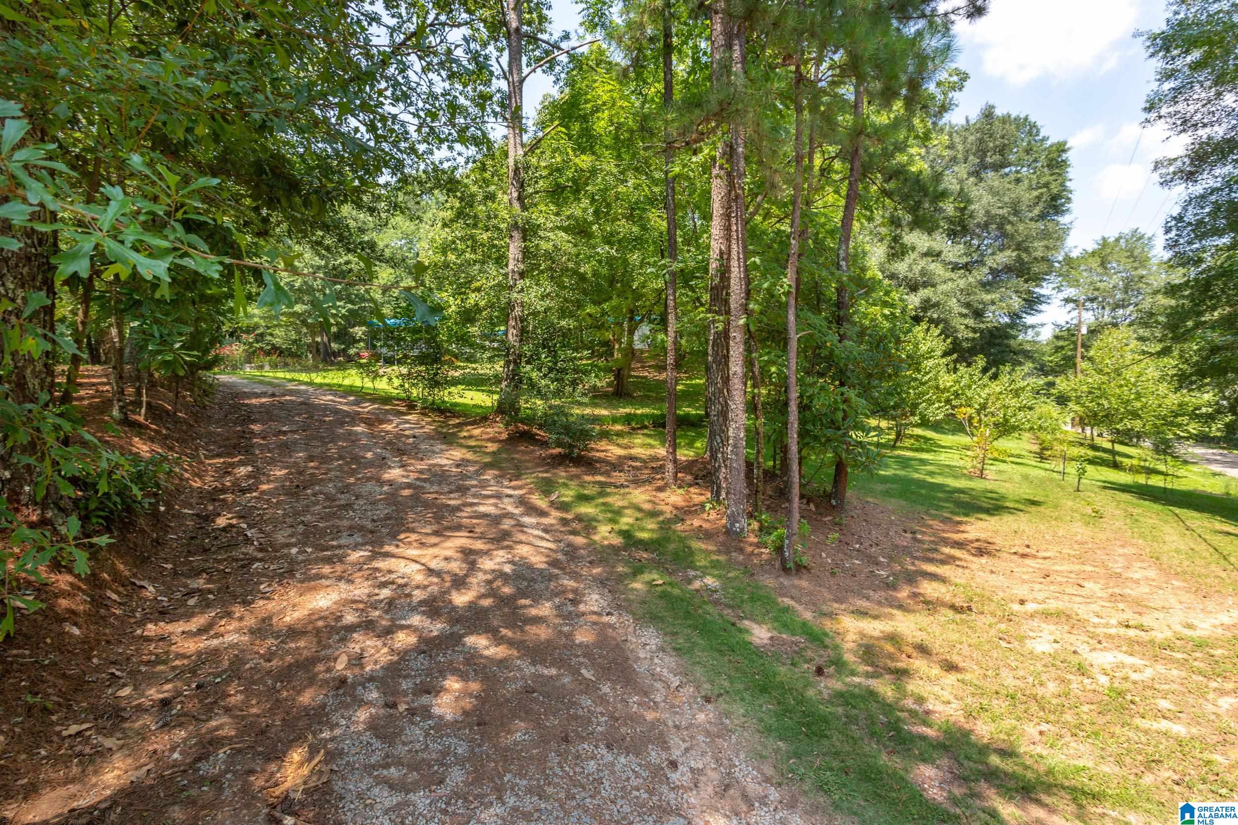 121 Wattsville Drive Ragland, AL 35131 - Photo 37 of 38