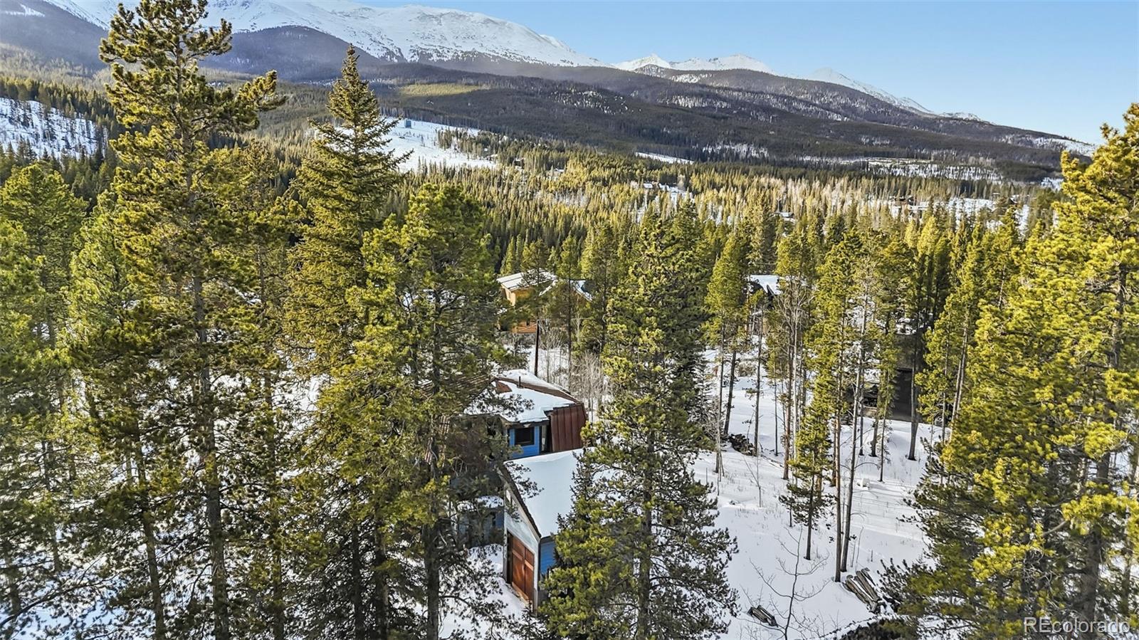 106 Protector Circle Breckenridge, CO 80424 - Photo 35 of 40 a view of outdoor space and a yard