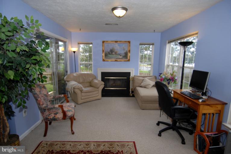 44106 Rising Sun Terrace Ashburn, VA 20147 - Photo 1 of 30 Finished Walk-Out Lower Level