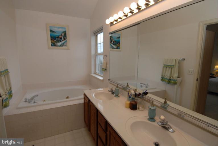 44106 Rising Sun Terrace Ashburn, VA 20147 - Photo 6 of 30 Bath (Master)