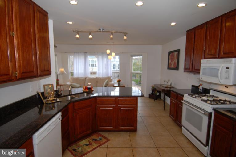 44106 Rising Sun Terrace Ashburn, VA 20147 - Photo 9 of 30 Kitchen