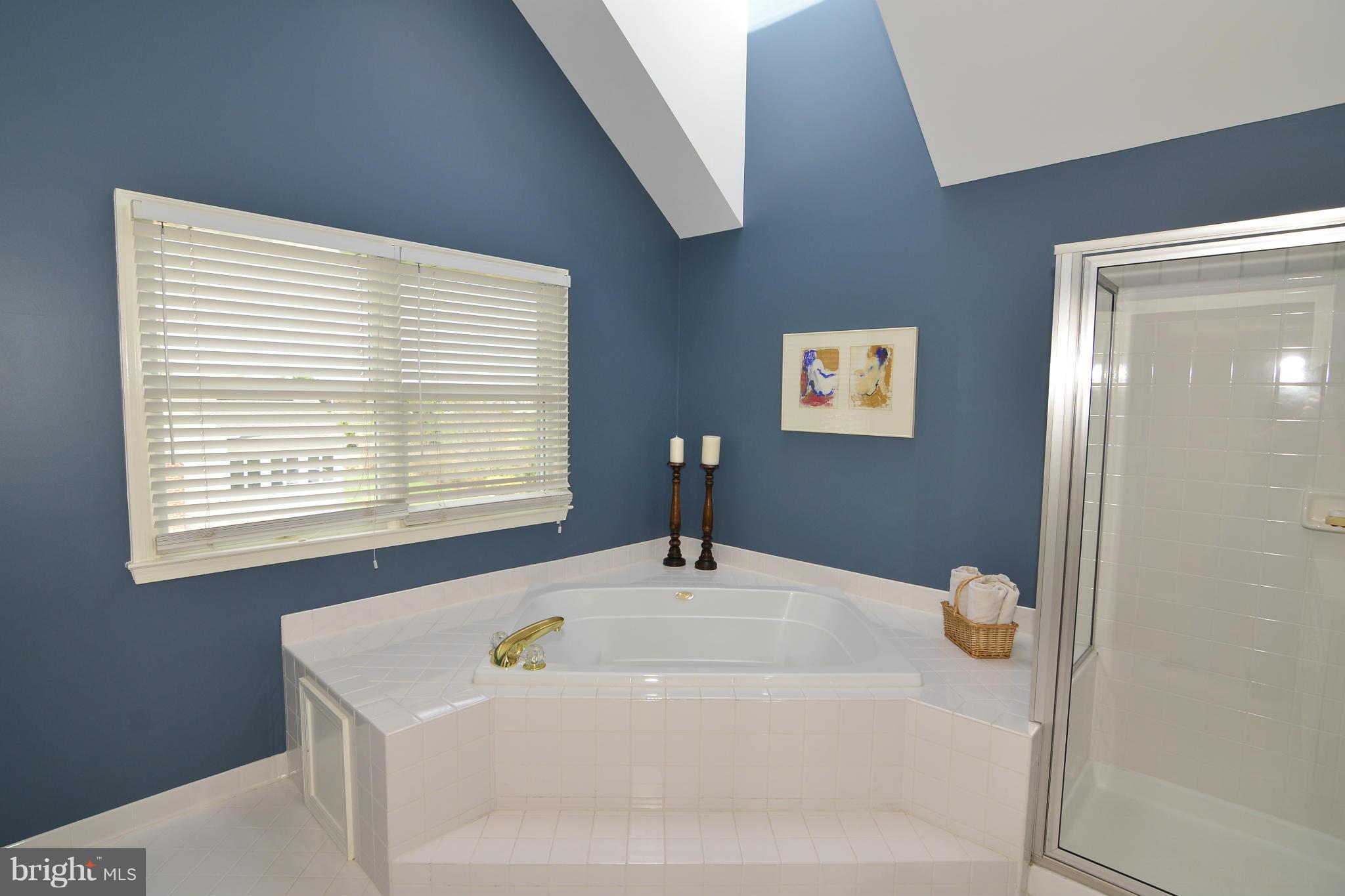 1313 Dasher Lane Reston, VA 20190 - Photo 16 of 28 Bath (Master)