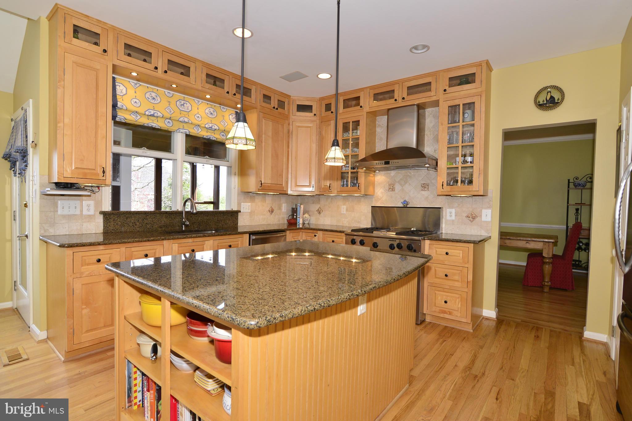 1313 Dasher Lane Reston, VA 20190 - Photo 4 of 28 Kitchen