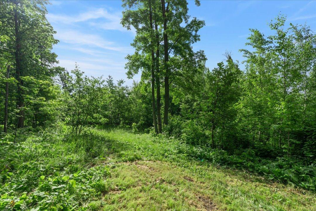 4608 Highway 371 Hackensack, MN 56452 - Photo 42 of 71