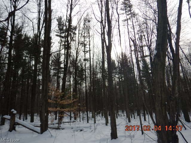 Matson Road Geneva, OH 44041 - Photo 12 of 20