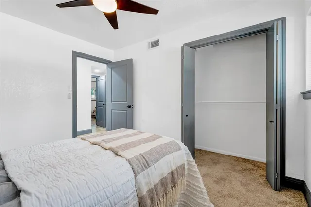 a view of a backyard with a large tree