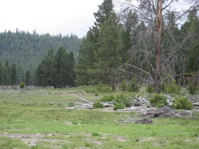 39150 9 9 Mile Road Chiloquin, OR 97624 - Photo 5 of 15 Additional Photo