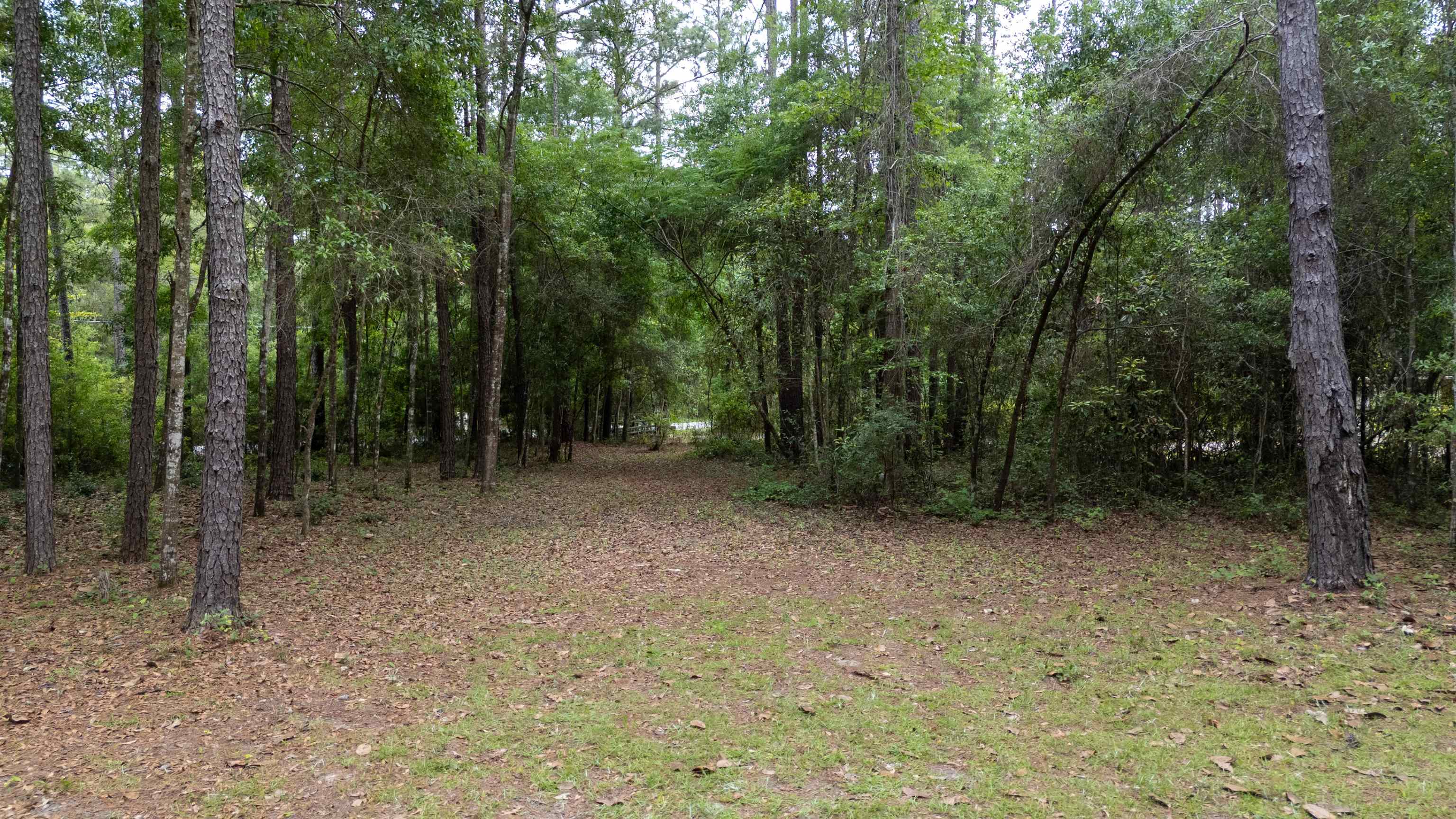 Tram Road Tallahassee, FL 32311 - Photo 11 of 29