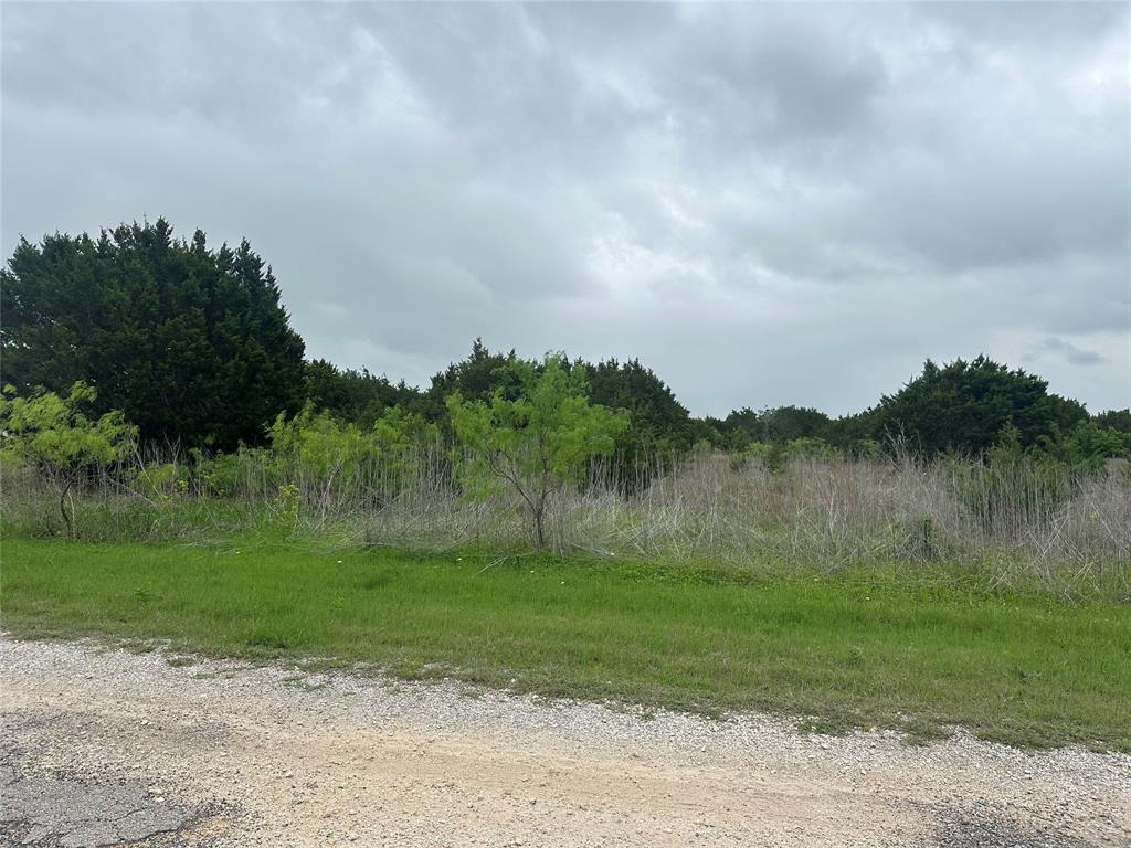 36068 Cedar Ridge Drive Whitney, TX 76692 - Photo 2 of 10