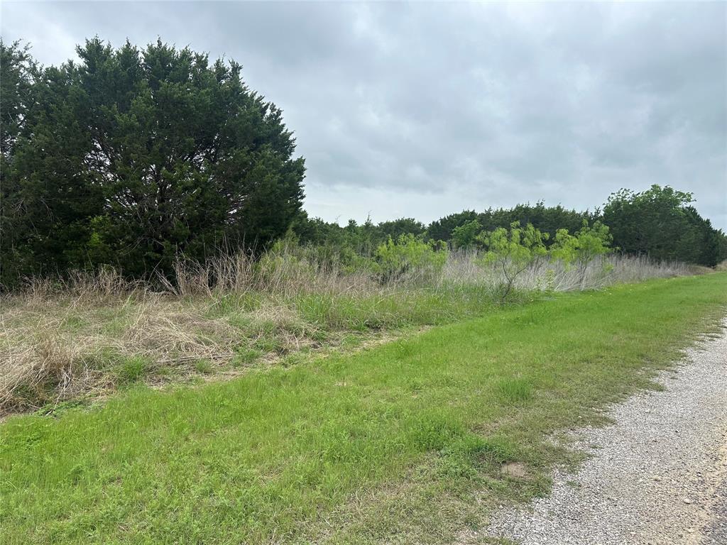 36068 Cedar Ridge Drive Whitney, TX 76692 - Photo 3 of 10