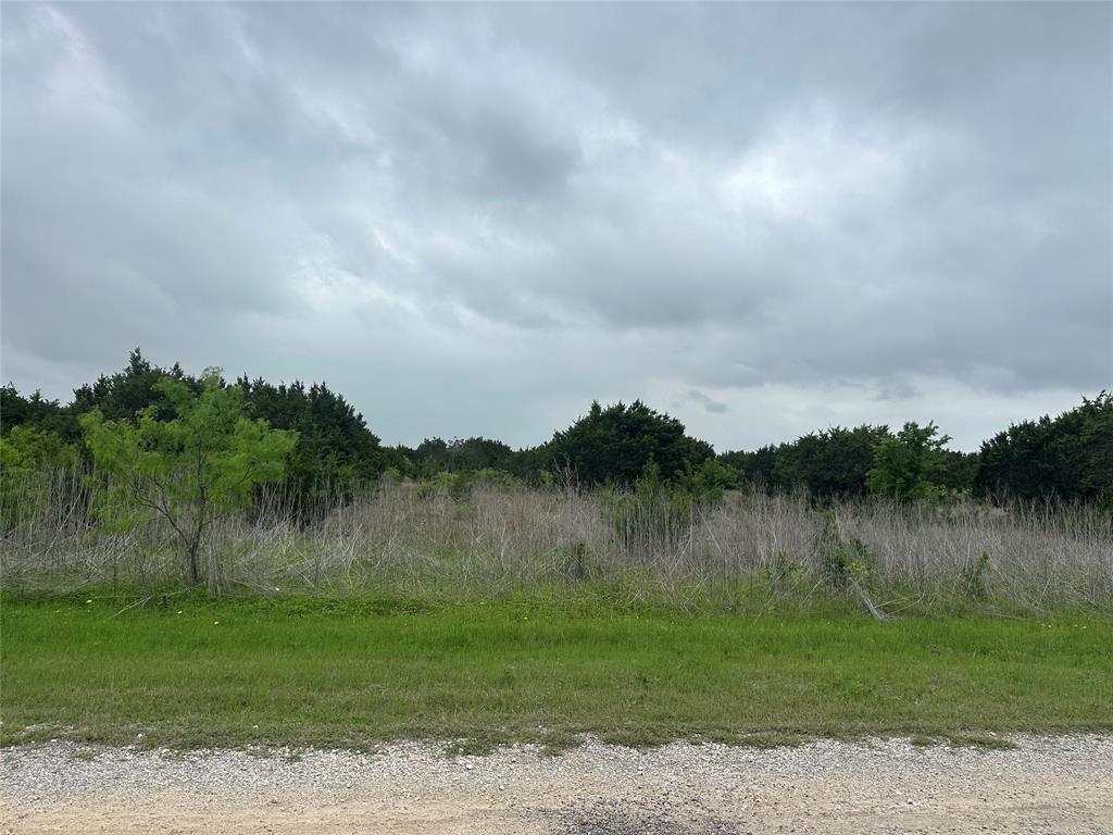 36068 Cedar Ridge Drive Whitney, TX 76692 - Photo 4 of 10