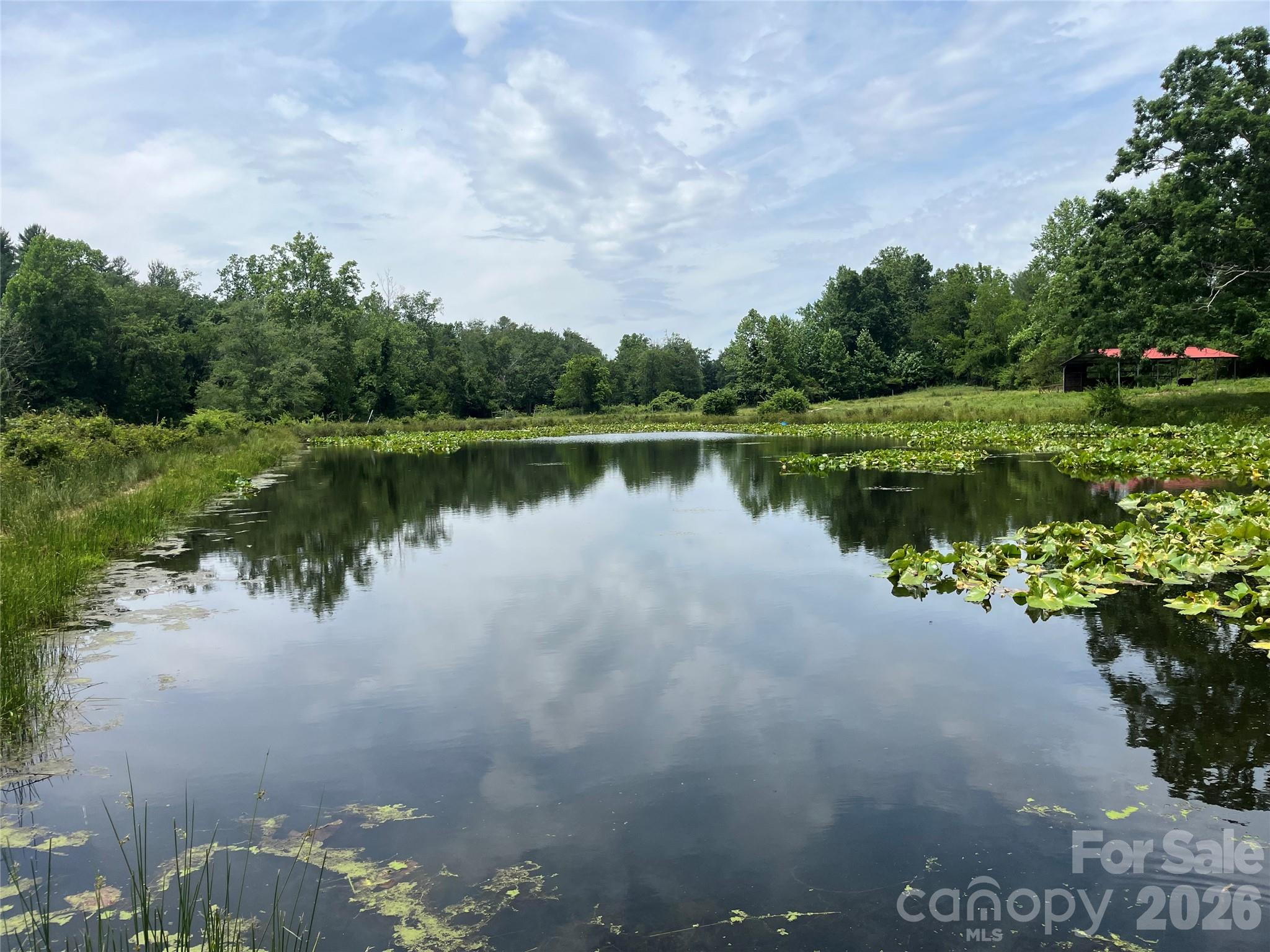 99999 Jones Road Fletcher, NC 28732 - Photo 1 of 17