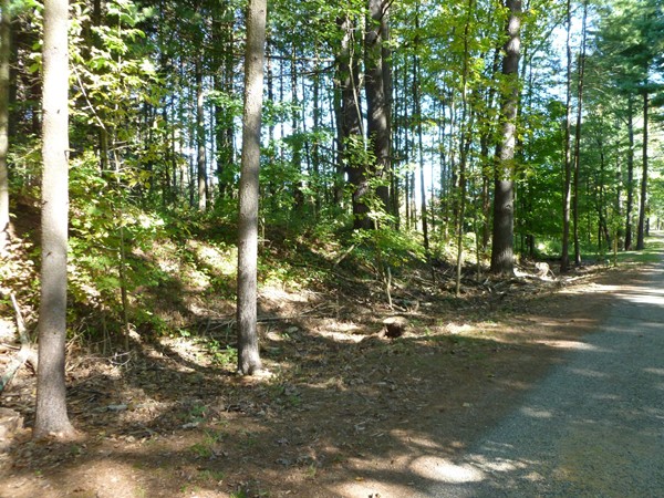 111 Five Bridge Road Brimfield, MA 01010 - Photo 17 of 18 Gallery Image 17