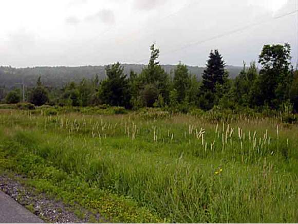 58 West Rte Lowell, VT 05847 - Photo 1 of 4